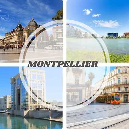 Le Calderini Appart - Face Plage Wifi Et Park Gratuit Calme - Resid Le Surcouf -Top Pros Servicesconciergerie La Grande Motte Ngoại thất bức ảnh